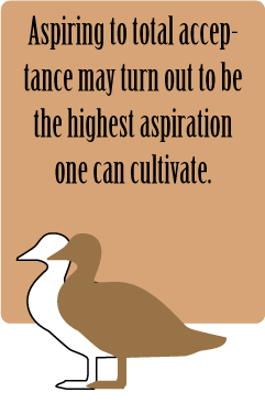 aspiring-to-total-acceptanc aspiring-to-total-acceptanc