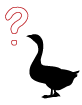question-of-the-month question-of-the-month