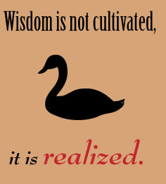 wisdom-is-not-cultivated1 wisdom-is-not-cultivated1